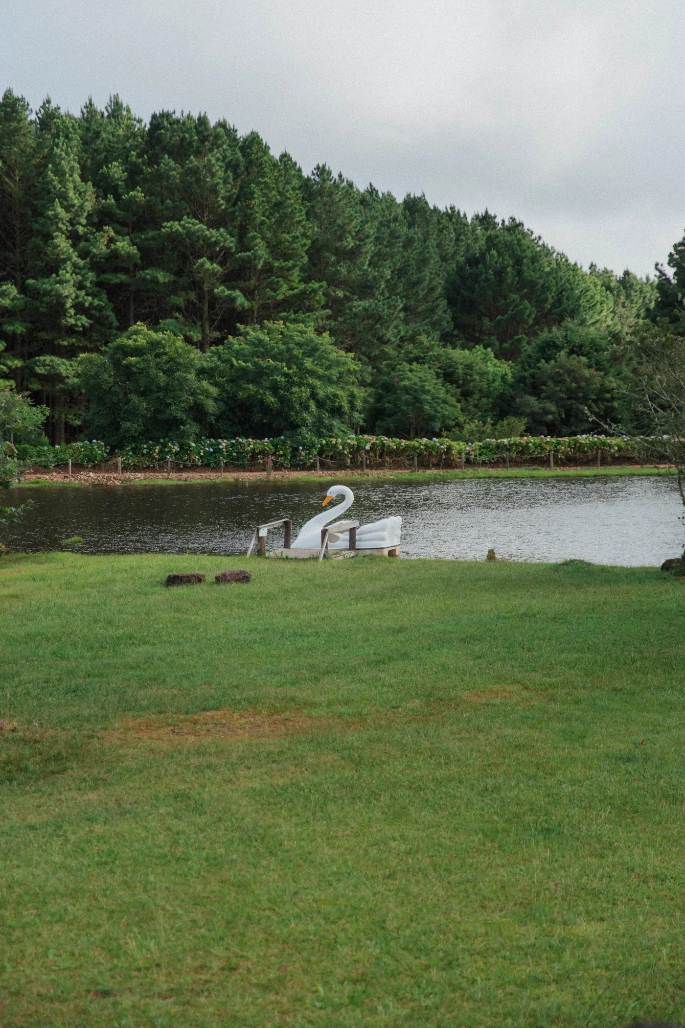 Lago para Pesca e Pedalinho